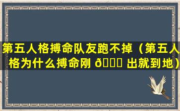 第五人格搏命队友跑不掉（第五人格为什么搏命刚 🐛 出就到地）